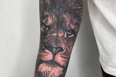 lion-tattoo-scaled