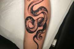 snake-tattoo-scaled